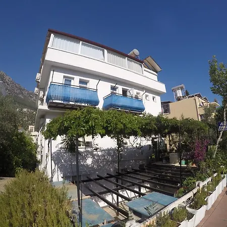 Akkin Kaş