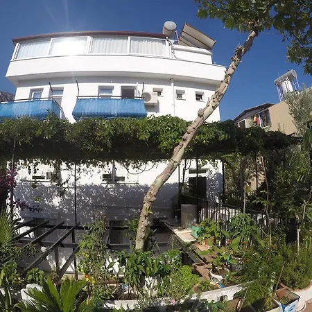 Akkin Guest house 3*